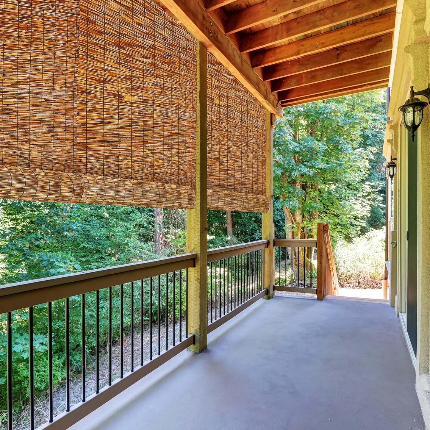 Barydat 3 Pcs 3 x 16.4 ft Bamboo Privacy Screen, Reed Fence Roller Patio Decorative Fences Reed Screen Curtain for Garden Backyard Patio Balconies