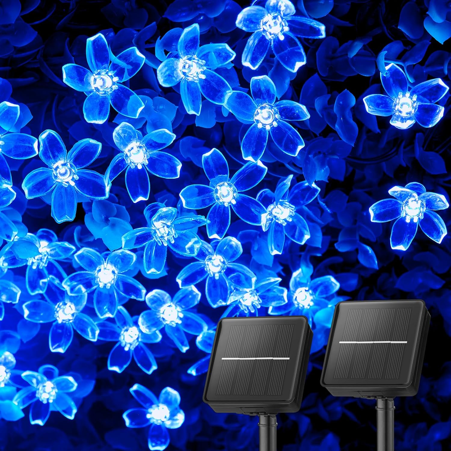 Outdoor Lighting
