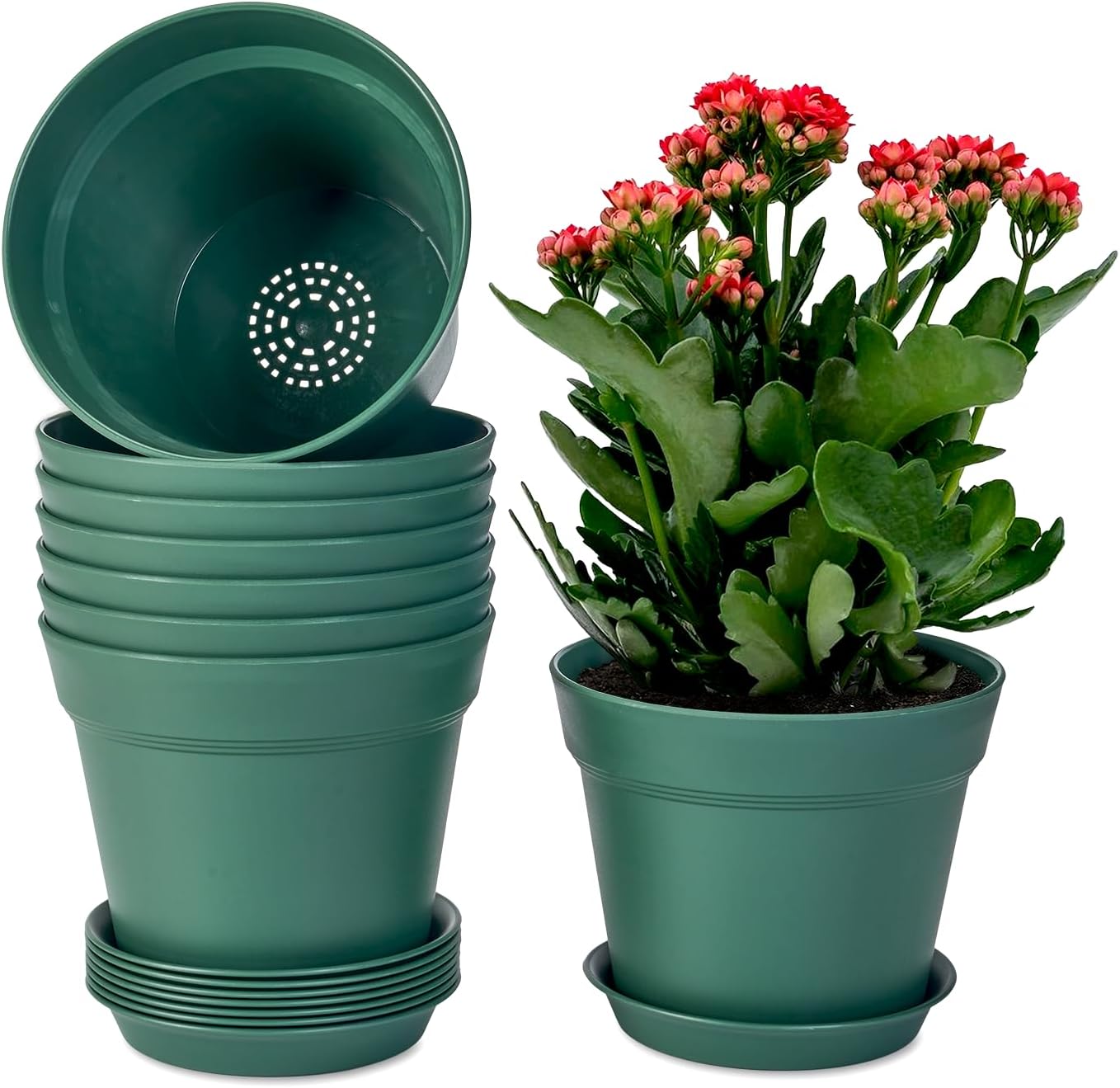 homenote Plant Pots,7.5 Inch Flower Pots for Plants Plastic Planters for Indoor with Multiple Drainage Holes and Trays, for All Home Garden Flowers Succulents,Outdoor(Green,8 Pack)