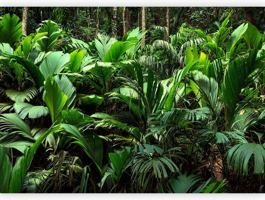 artgeist Premium Wall Mural Nature 157x110 in - XXL Non-Woven Wallpaper Fleece Wall Decor Photo Print Picture Image Design Botanical Plants Jungle Leaves b-B-0594-a-a
