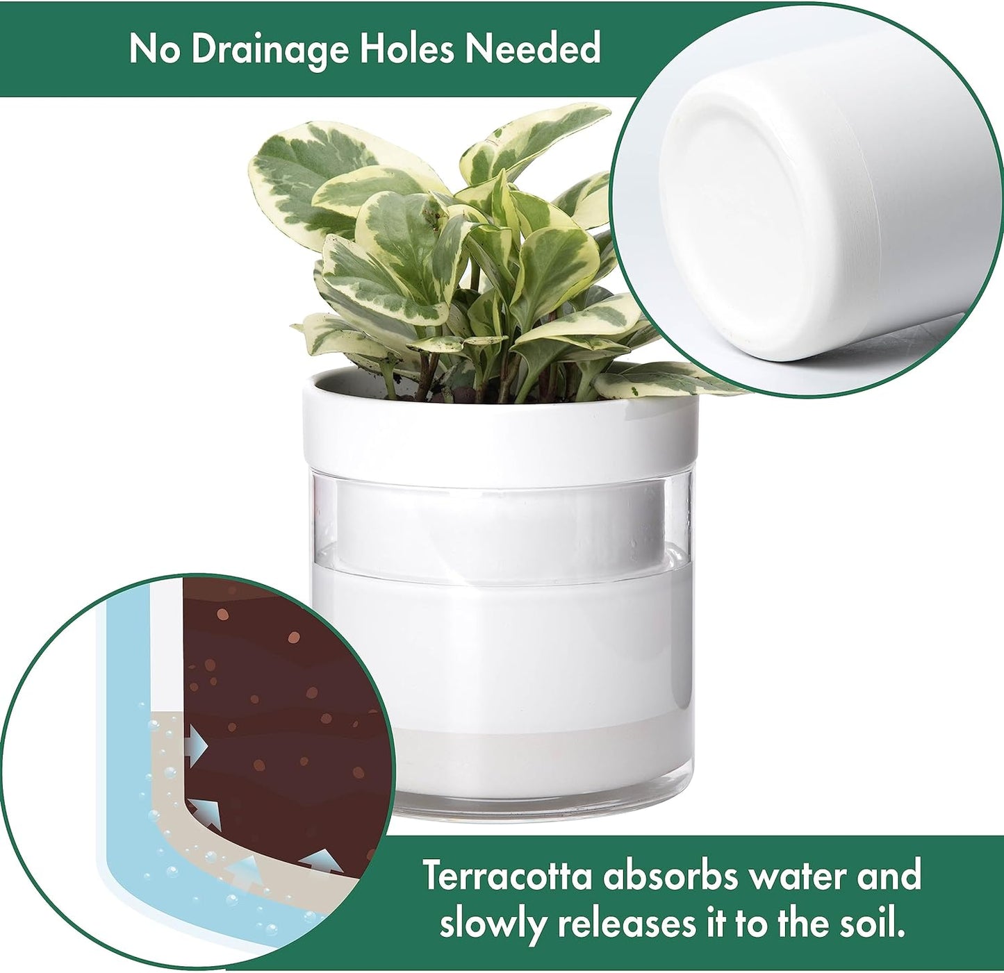 Phoenix Vine 6 Inch Self Watering Planter, White Terracotta Clay Pot with Glass Reservoir for Indoor Plants, Herbs, Flowers, Set of 1, 52-B-F-1