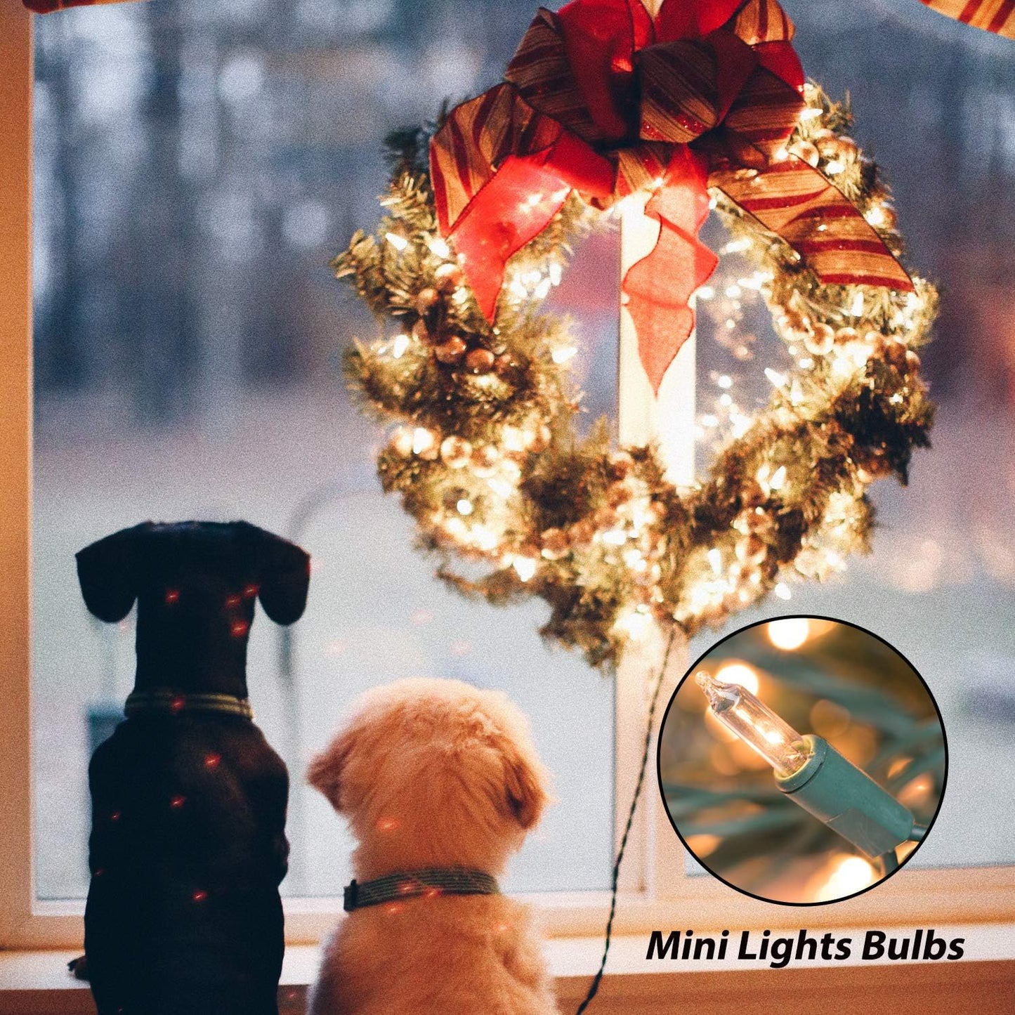 Clear Christmas Lights 200 Count 50 Feet Bulb Mini Lights, Waterproof String Lights, Color Changing Lights for Indoor Xmas Tree Garland Birthday Wedding Decoration, Green Wire