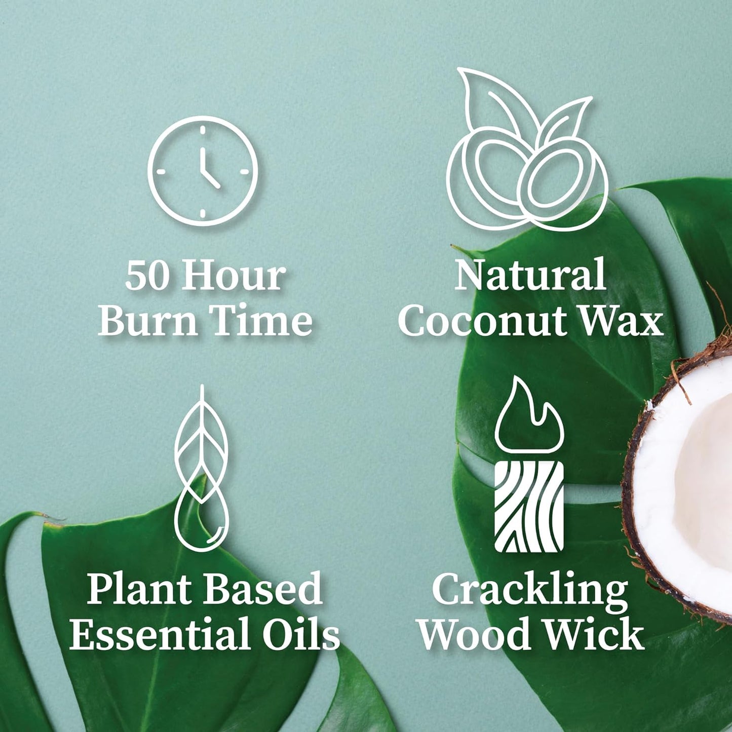 Hemlock Park Wood Wick Candle Handcrafted with Natural Coconut Wax and Essential Oils (Amber & Gold 7.2 oz, Mission Fig)