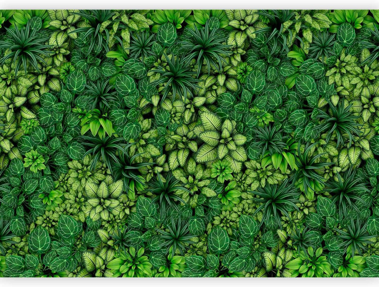 artgeist Wall Mural Plants 135x101 in - XXL Peel and Stick Self-Adhesive Wallpaper Removable Large Sticker Foil Wall Decor Print Picture Image Design Nature Botanics Tropical Leaves b-B-0601-a-a