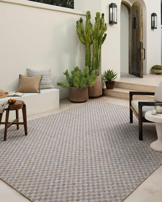 Loloi Amber Lewis Topanga Collection TOP-02 Natural/Silver 3'-11" x 5'-11" Indoor/Outdoor Accent Rug